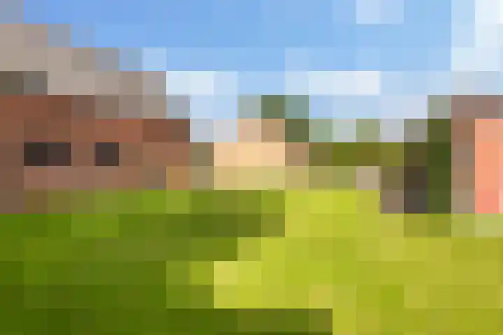 Lage Herenweg 13 Marrum thumbnail 42