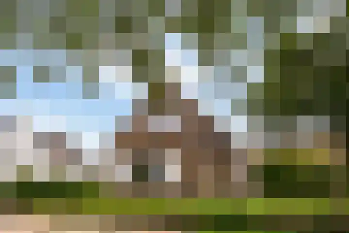 Lage Herenweg 13 Marrum thumbnail 44