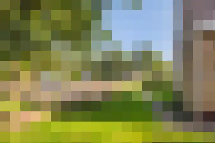 Lage Herenweg 13 Marrum thumbnail 46