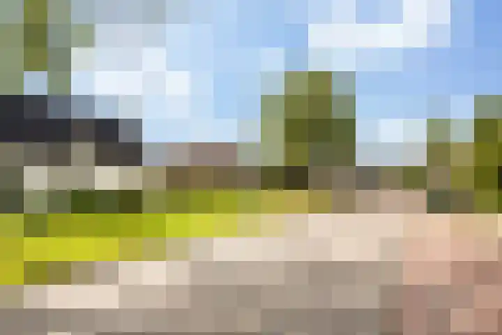 Lage Herenweg 13 Marrum thumbnail 47