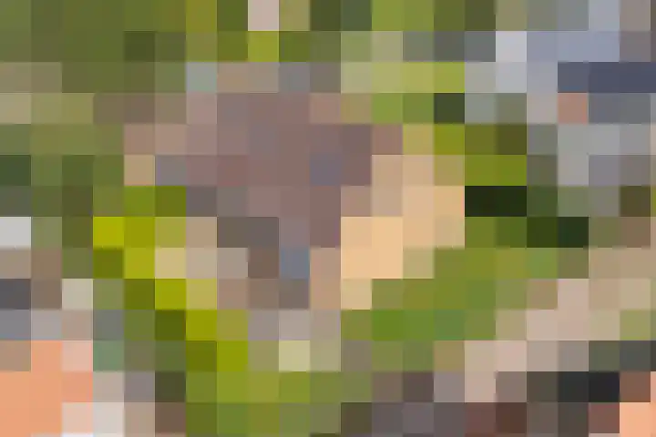 Lage Herenweg 13 Marrum thumbnail 49