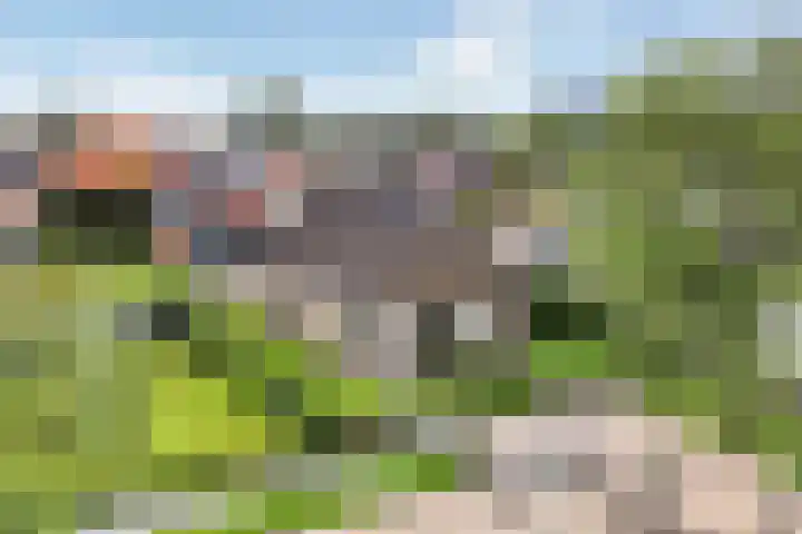 Lage Herenweg 13 Marrum thumbnail 50