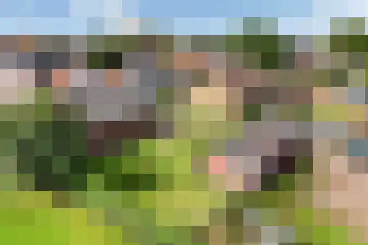 Lage Herenweg 13 Marrum thumbnail 51