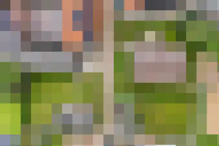 Lage Herenweg 13 Marrum thumbnail 52