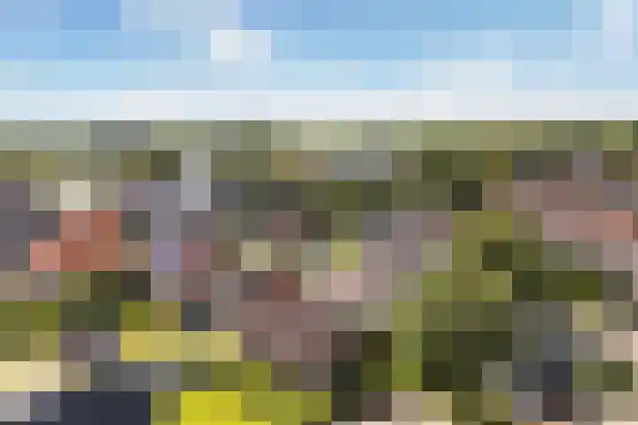Lage Herenweg 13 Marrum thumbnail 53