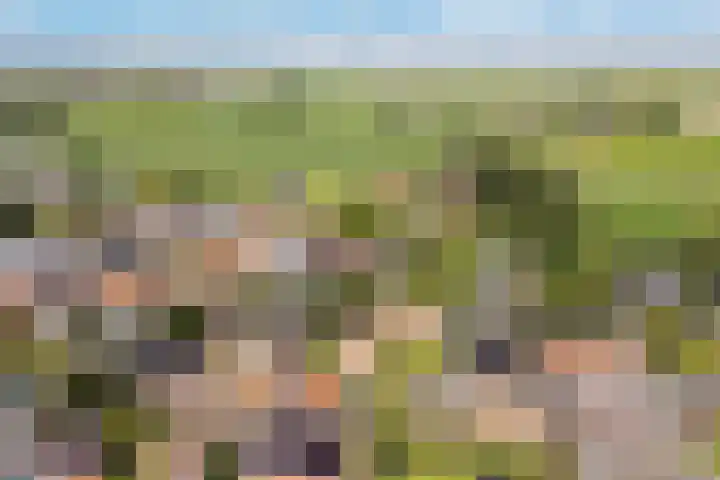 Lage Herenweg 13 Marrum thumbnail 54