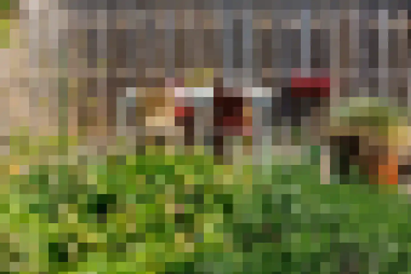 Lage Herenweg 30 Marrum thumbnail 42