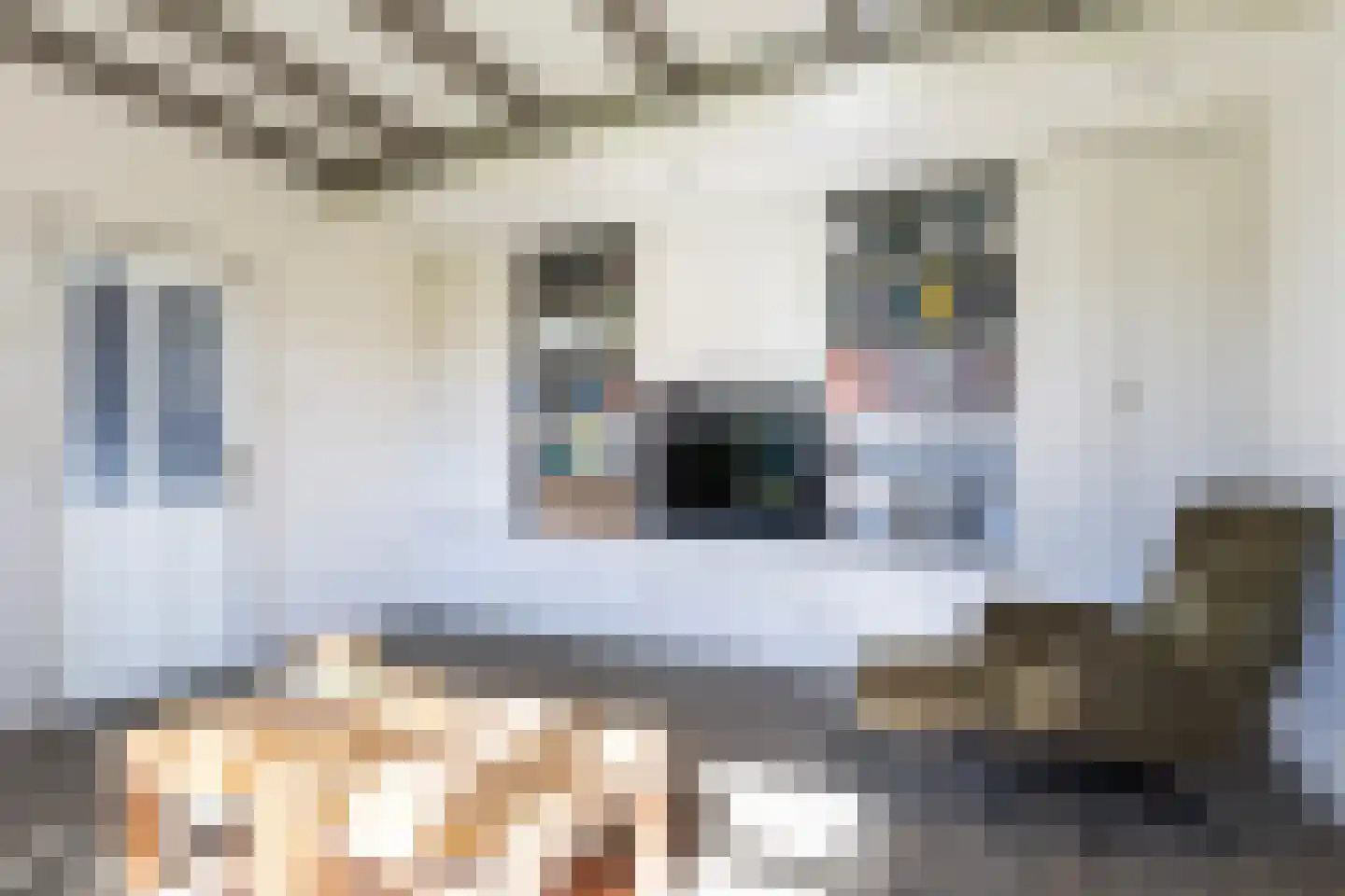 Lage Herenweg 74 Marrum thumbnail 21