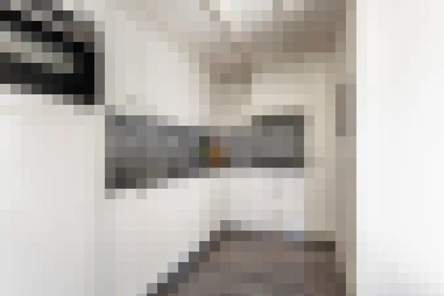 Lage Herenweg 74 Marrum thumbnail 23