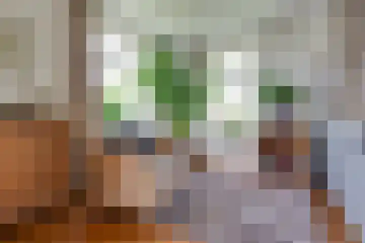 Lage Heurnseweg 74 De Heurne thumbnail 10