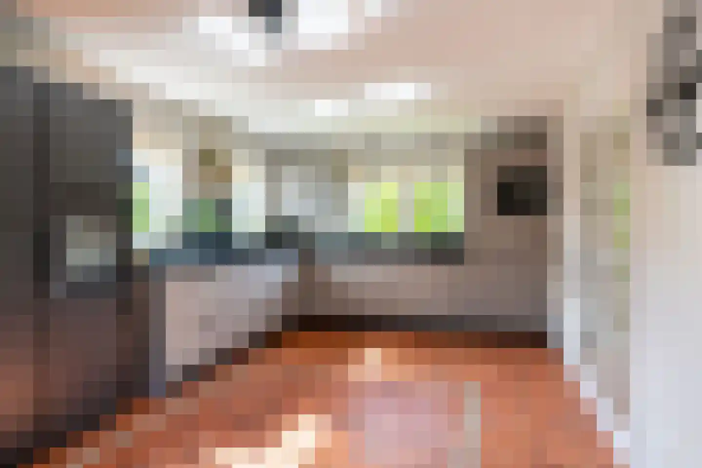 Lage Heurnseweg 74 De Heurne thumbnail 11