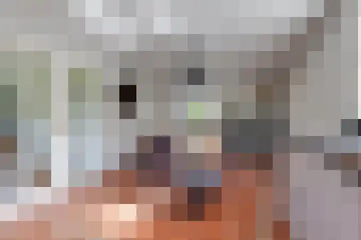Lage Heurnseweg 74 De Heurne thumbnail 15