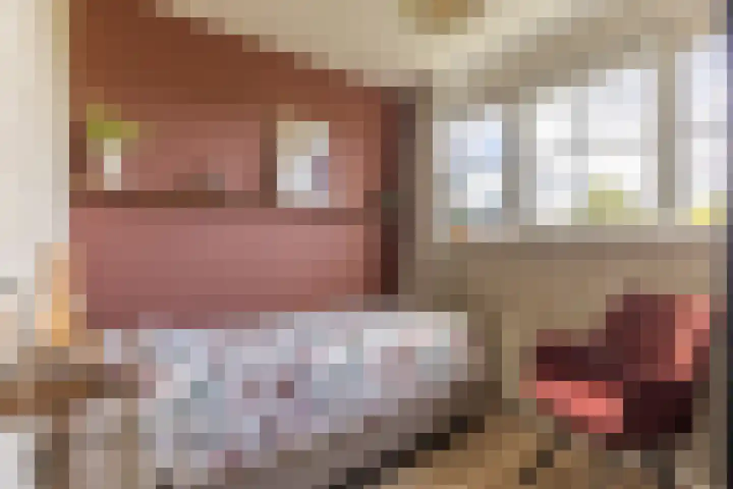 Lage Heurnseweg 74 De Heurne thumbnail 18