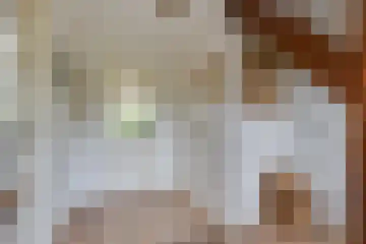 Lage Heurnseweg 74 De Heurne thumbnail 19