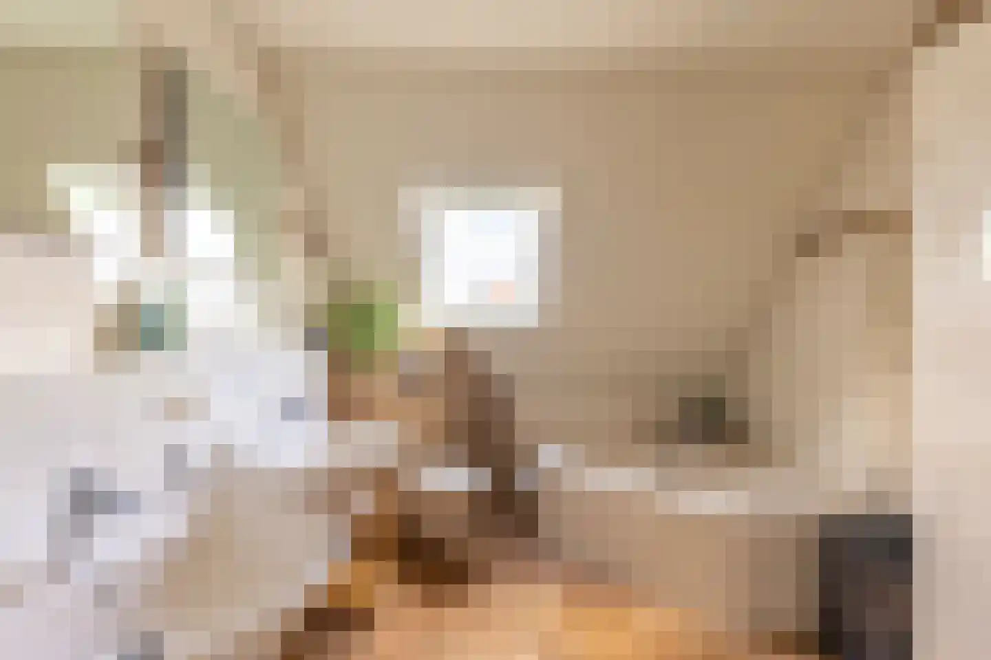 Lage Heurnseweg 74 De Heurne thumbnail 19