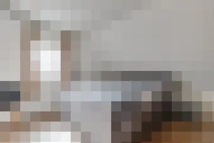 Lage Heurnseweg 74 De Heurne thumbnail 23