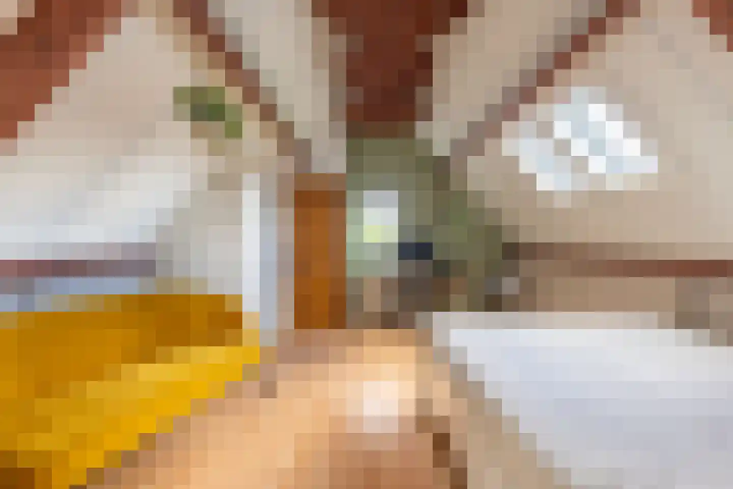 Lage Heurnseweg 74 De Heurne thumbnail 24