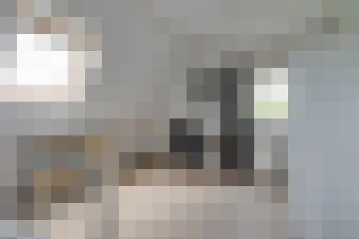 Lage Heurnseweg 74 De Heurne thumbnail 25