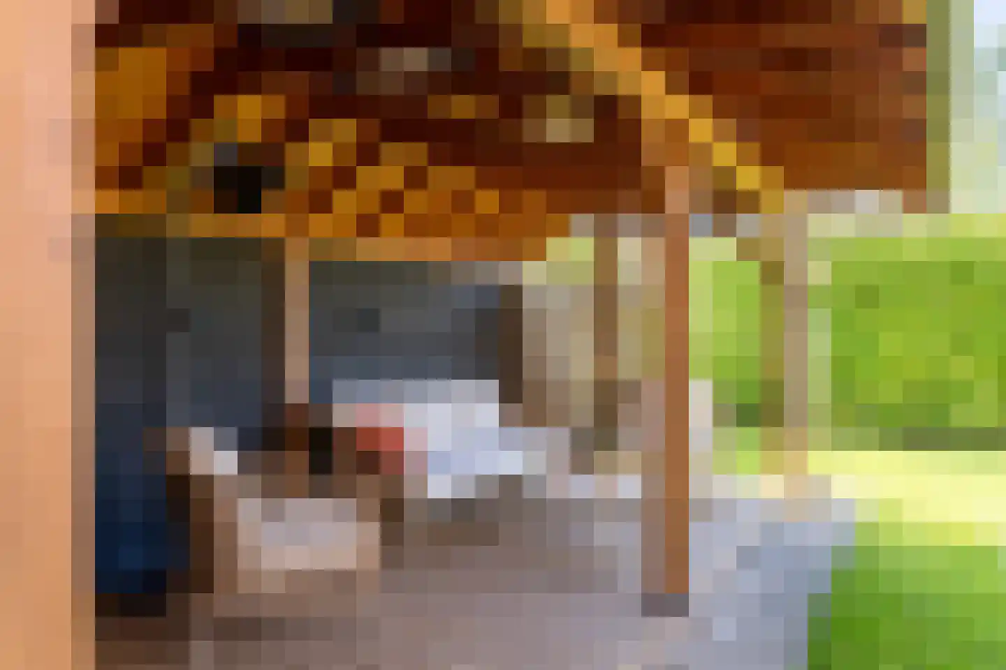 Lage Heurnseweg 74 De Heurne thumbnail 28