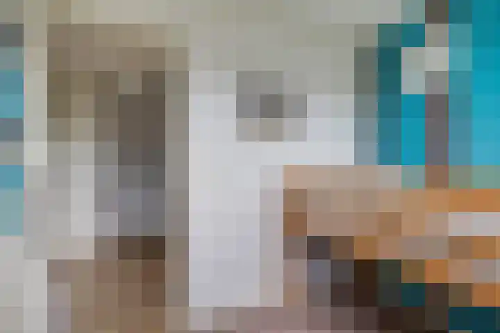 Lage Heurnseweg 74 De Heurne thumbnail 30
