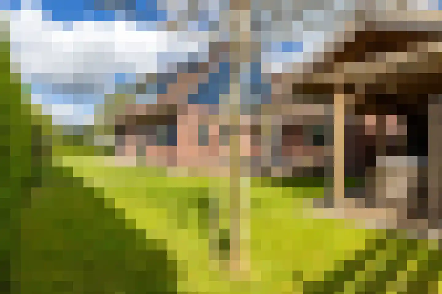 Lage Heurnseweg 74 De Heurne thumbnail 31