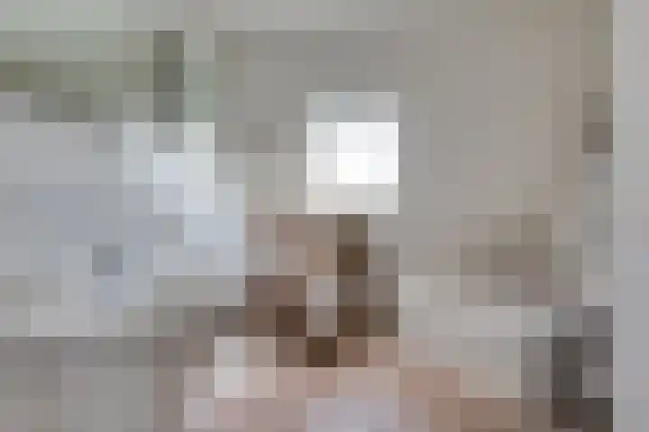 Lage Heurnseweg 74 De Heurne thumbnail 31