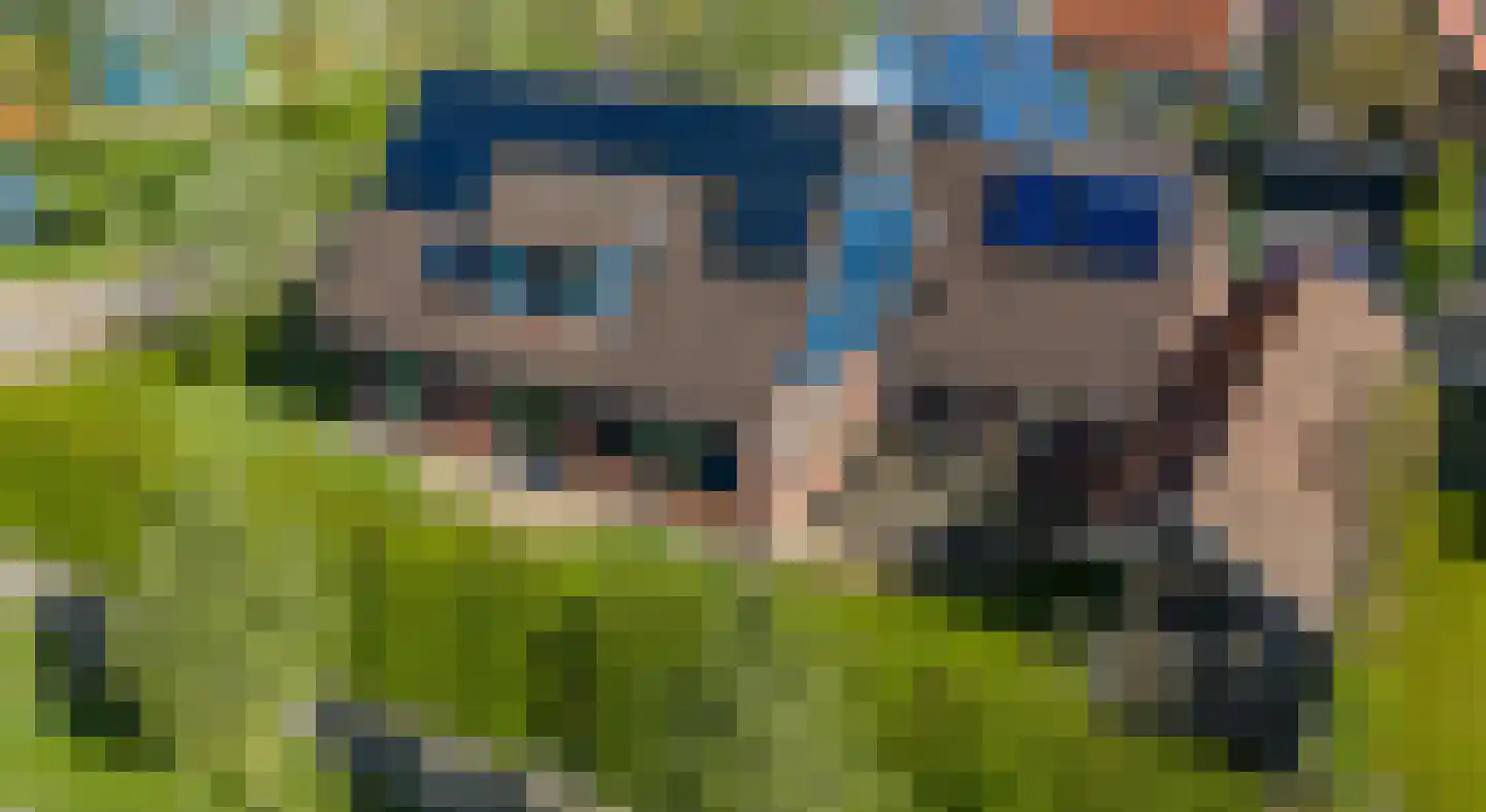 Lage Heurnseweg 74 De Heurne thumbnail 33