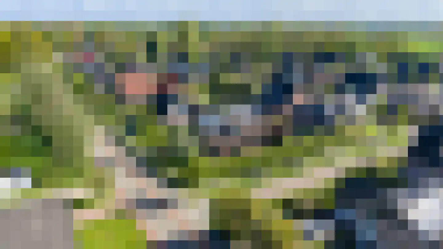 Lage Heurnseweg 74 De Heurne thumbnail 36