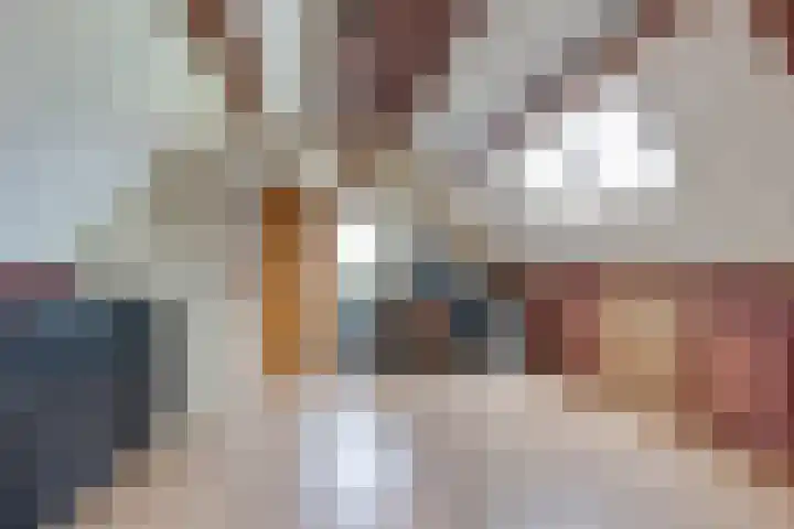 Lage Heurnseweg 74 De Heurne thumbnail 38