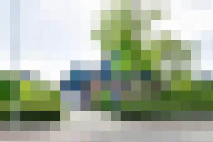 Lage Heurnseweg 74 De Heurne thumbnail 4