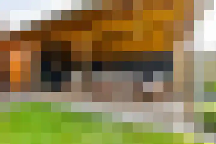 Lage Heurnseweg 74 De Heurne thumbnail 40