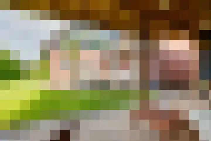 Lage Heurnseweg 74 De Heurne thumbnail 41
