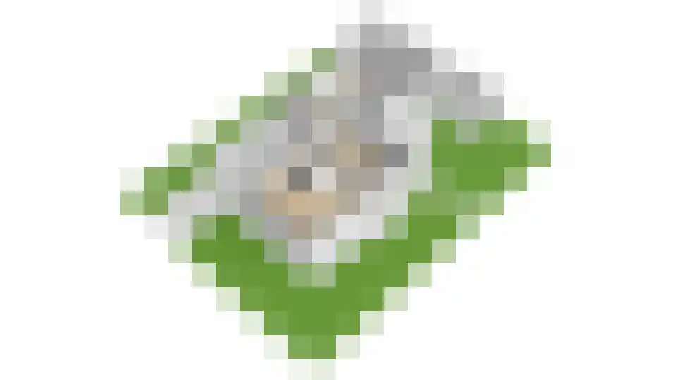 Lage Heurnseweg 74 De Heurne thumbnail 43