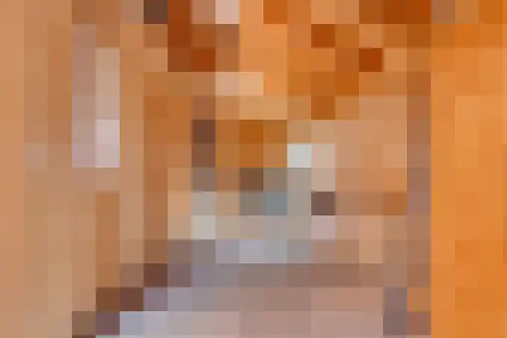 Lage Heurnseweg 74 De Heurne thumbnail 44