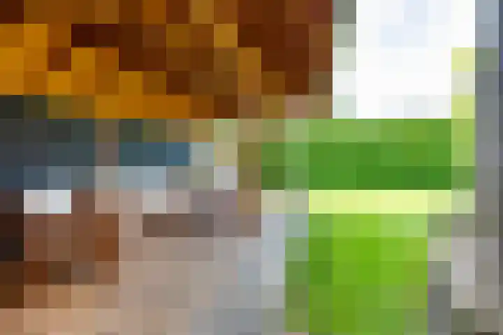Lage Heurnseweg 74 De Heurne thumbnail 46