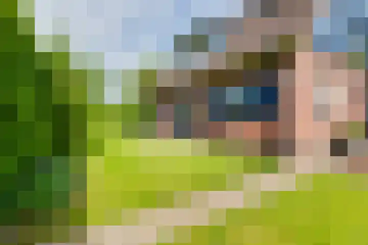 Lage Heurnseweg 74 De Heurne thumbnail 47