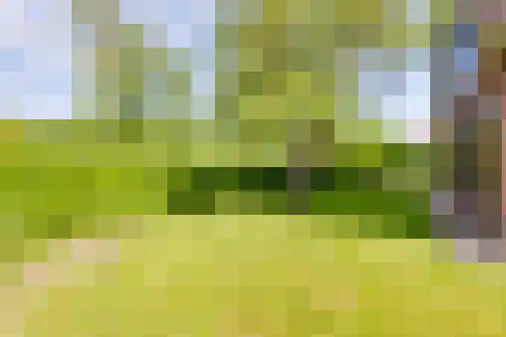 Lage Heurnseweg 74 De Heurne thumbnail 49