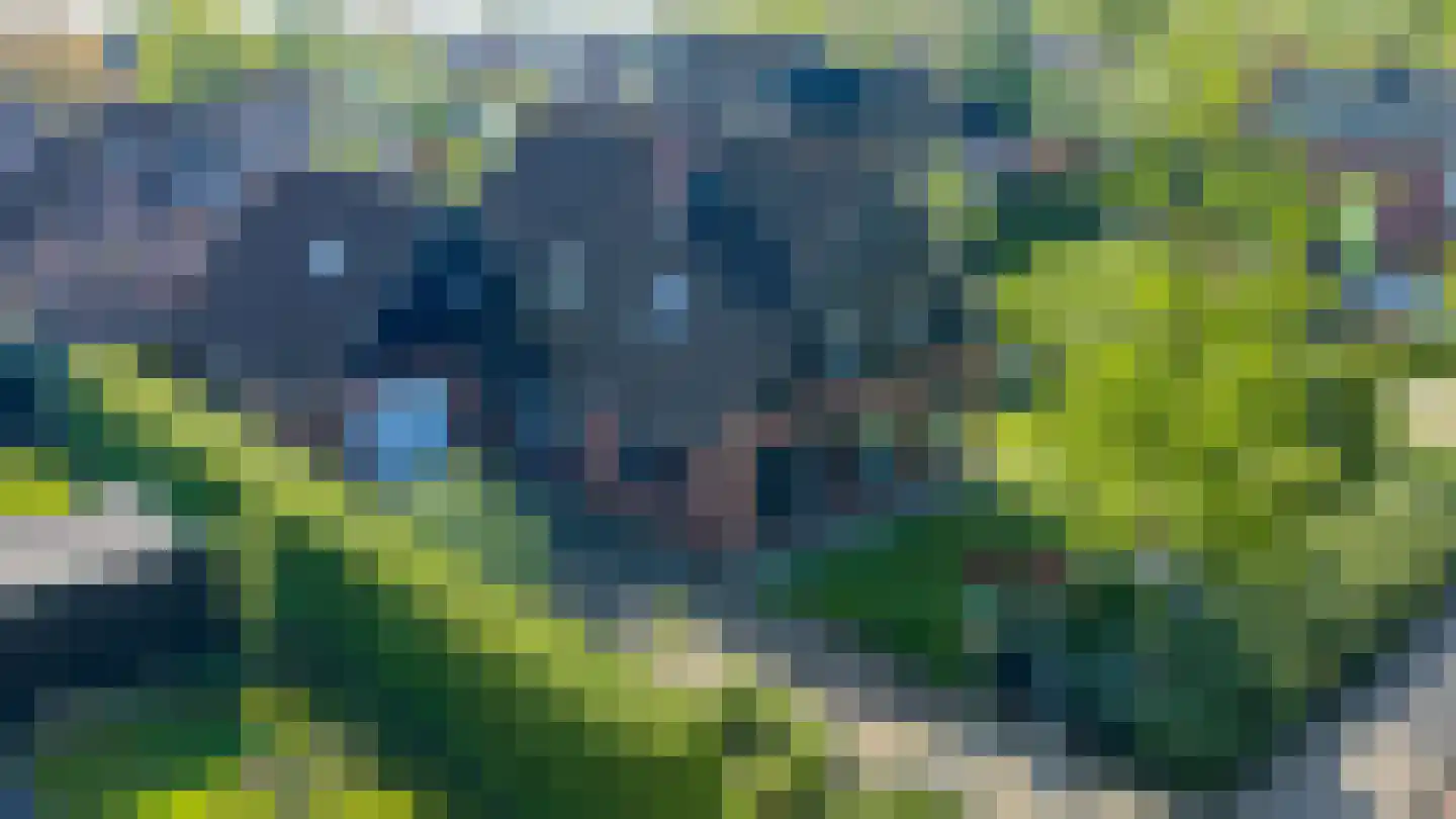 Lage Heurnseweg 74 De Heurne thumbnail 5