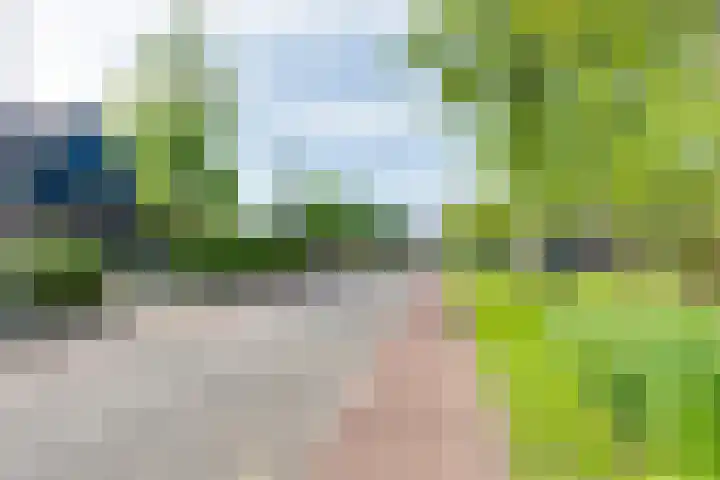 Lage Heurnseweg 74 De Heurne thumbnail 51