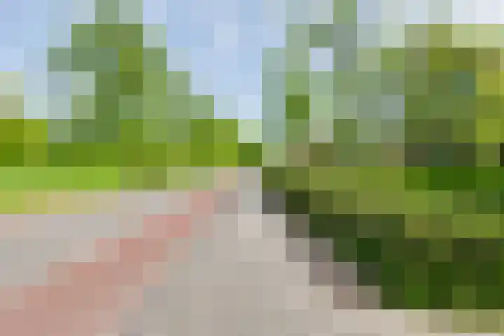 Lage Heurnseweg 74 De Heurne thumbnail 52
