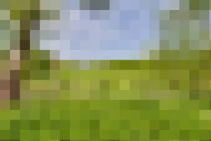 Lage Heurnseweg 74 De Heurne thumbnail 53