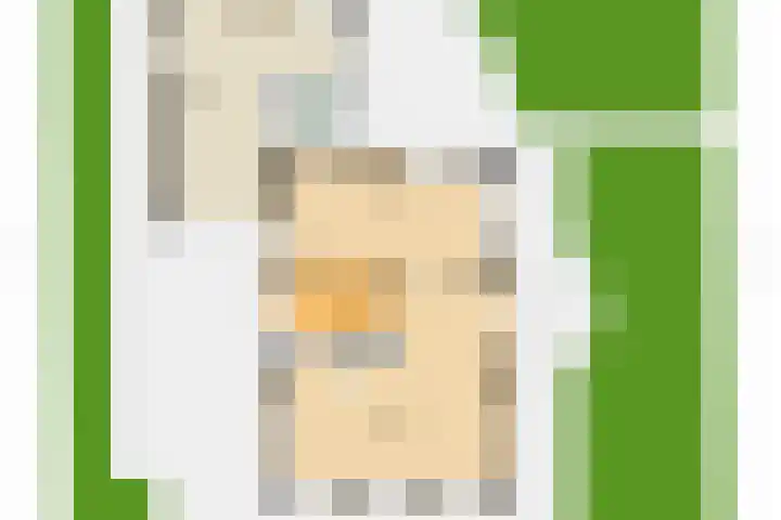 Lage Heurnseweg 74 De Heurne thumbnail 55