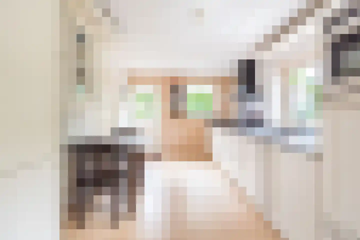 Lage Heurnseweg 8 De Heurne thumbnail 17