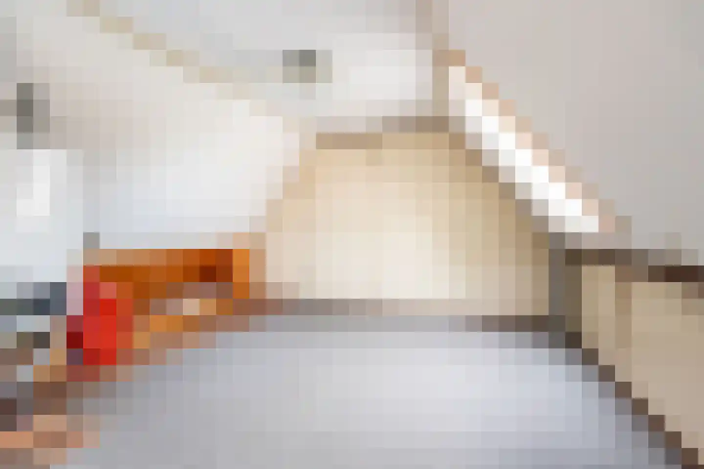 Lage Heurnseweg 8 De Heurne thumbnail 25
