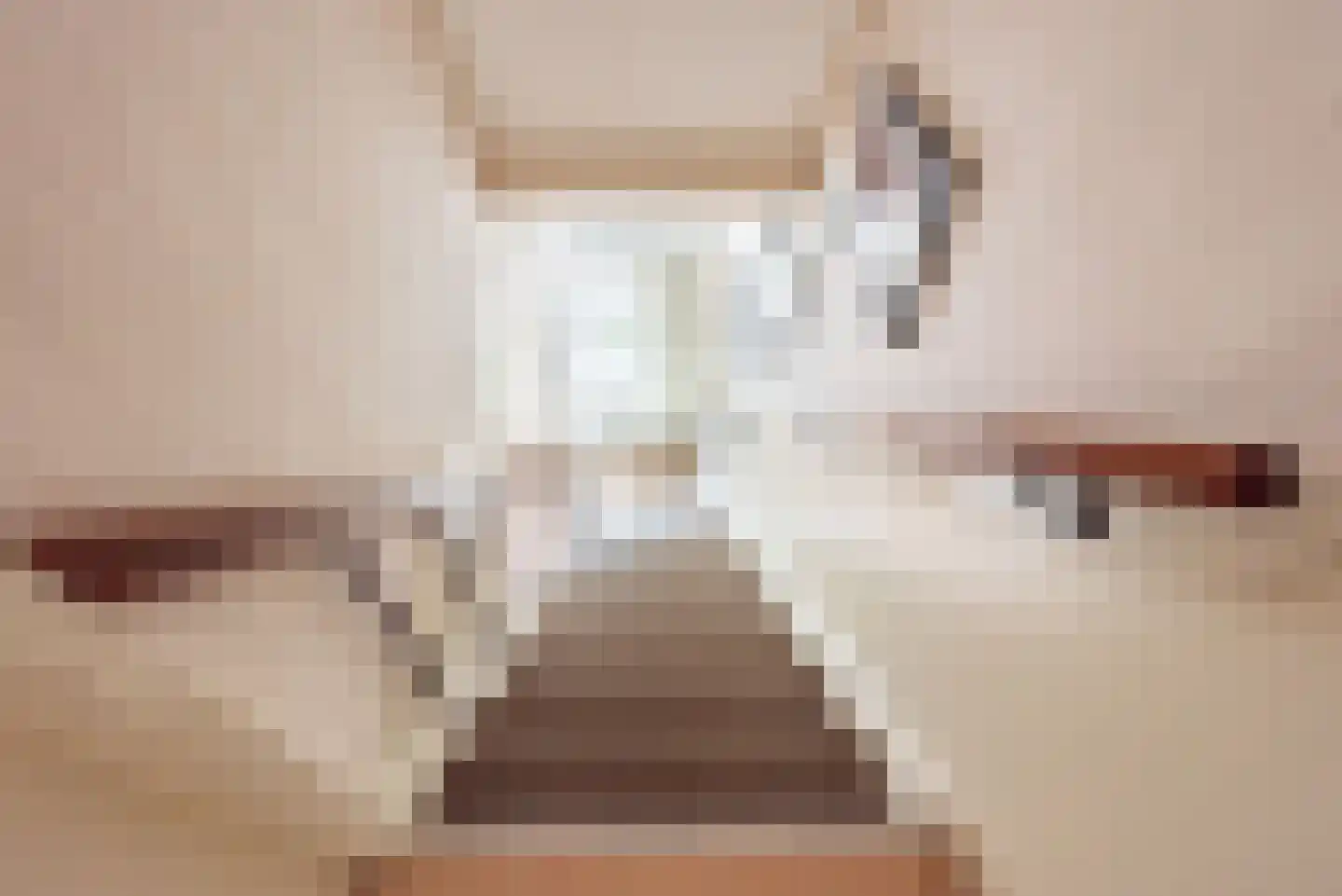 Lage Heurnseweg 8 De Heurne thumbnail 27