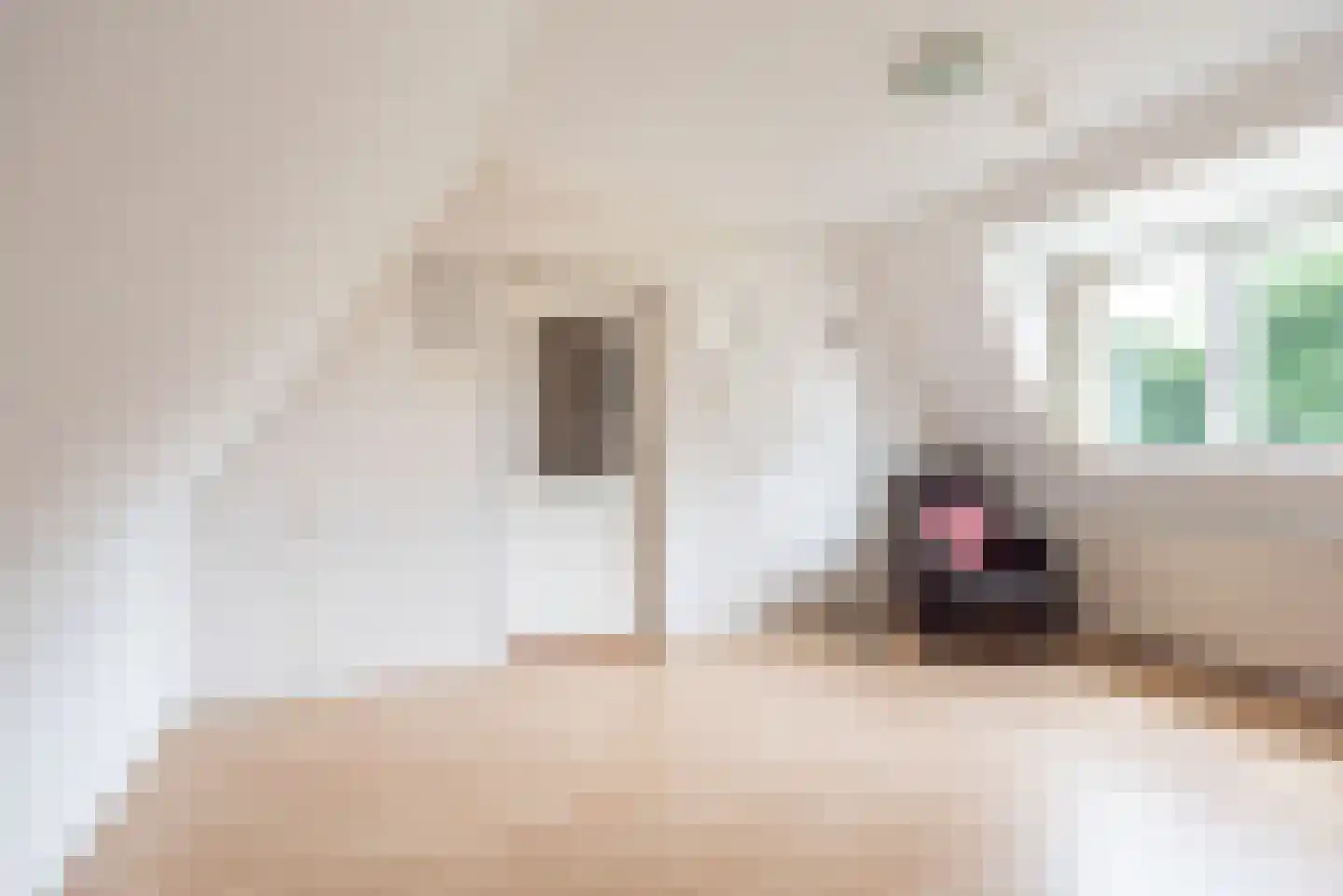 Lage Heurnseweg 8 De Heurne thumbnail 32