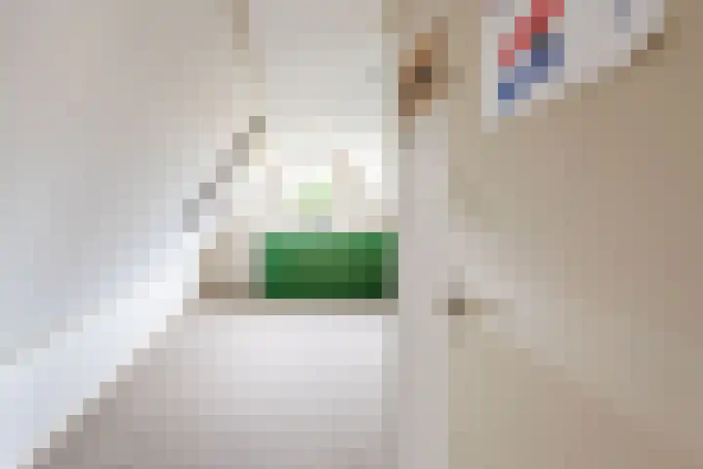 Lage Heurnseweg 8 De Heurne thumbnail 34