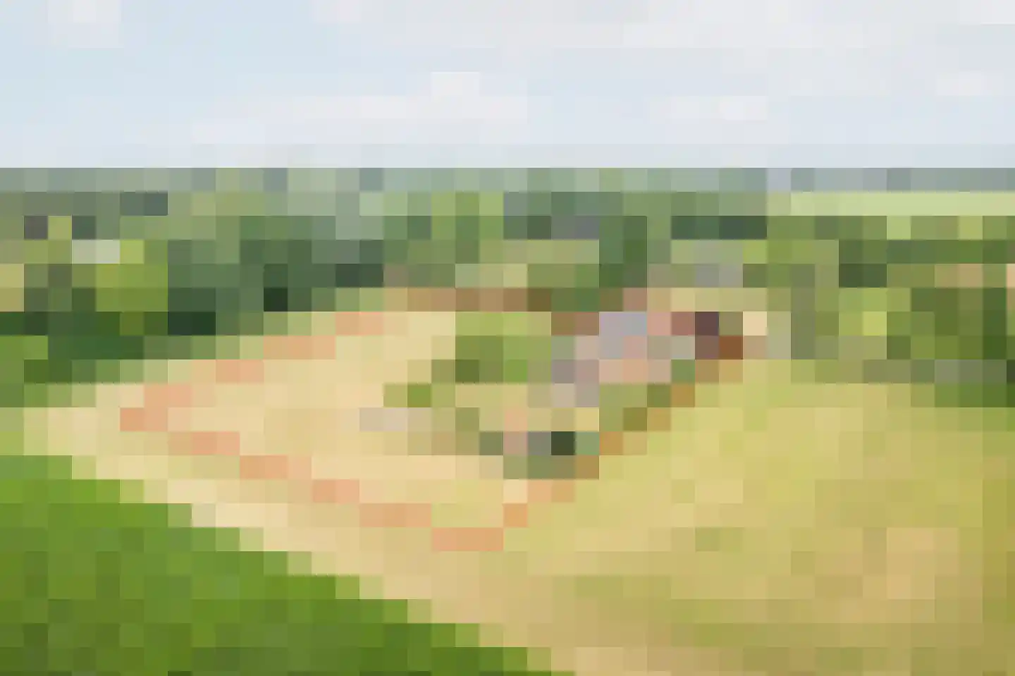 Lage Heurnseweg 8 De Heurne thumbnail 36