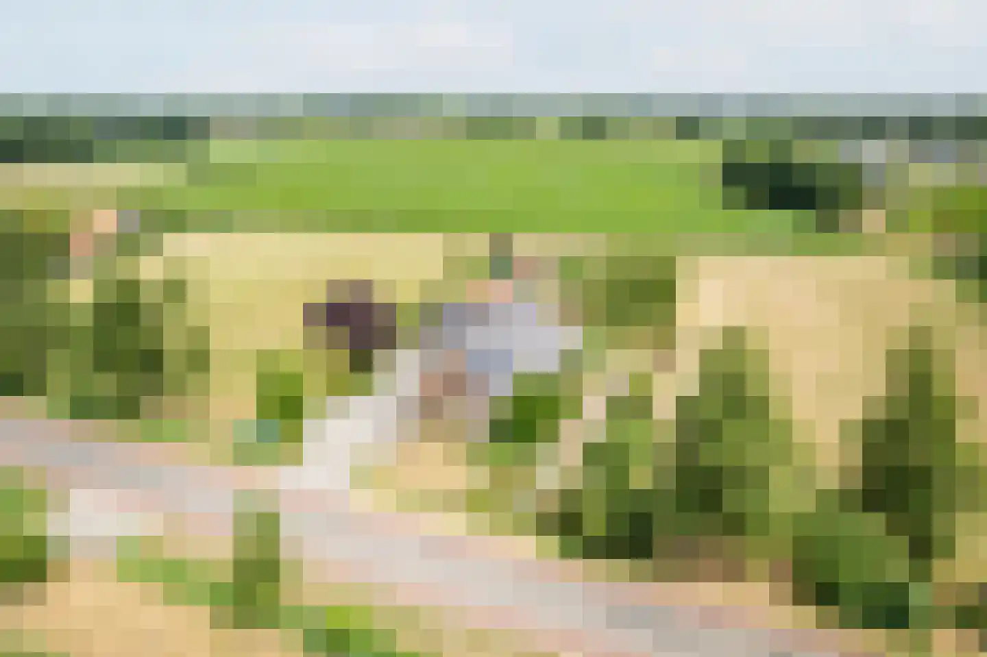 Lage Heurnseweg 8 De Heurne thumbnail 37