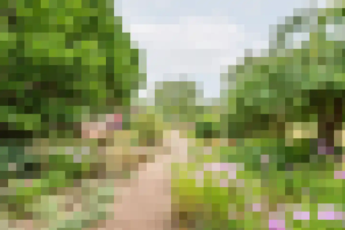 Lage Heurnseweg 8 De Heurne thumbnail 38